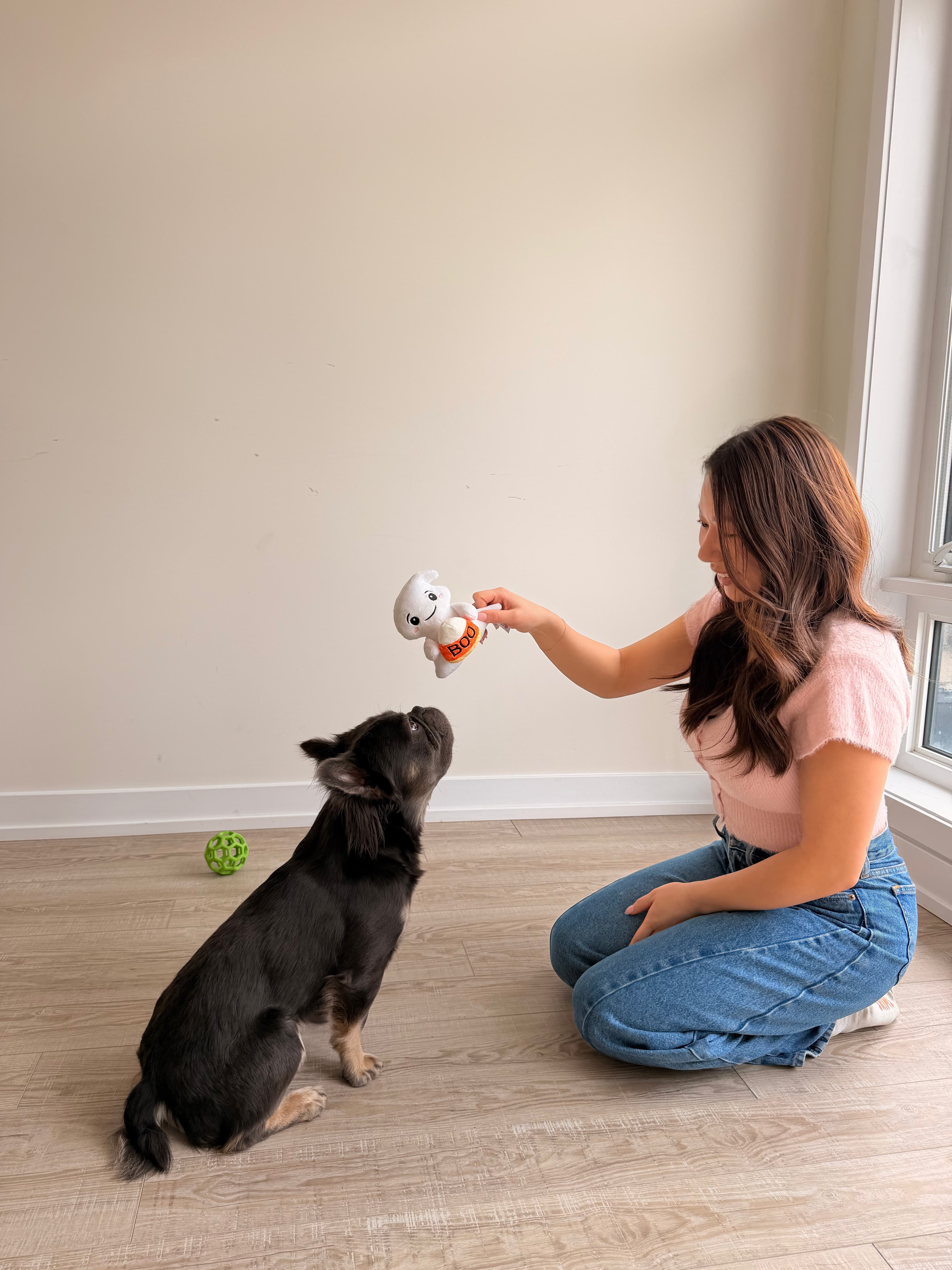 Lysa playing with a small dog at The Third Leash